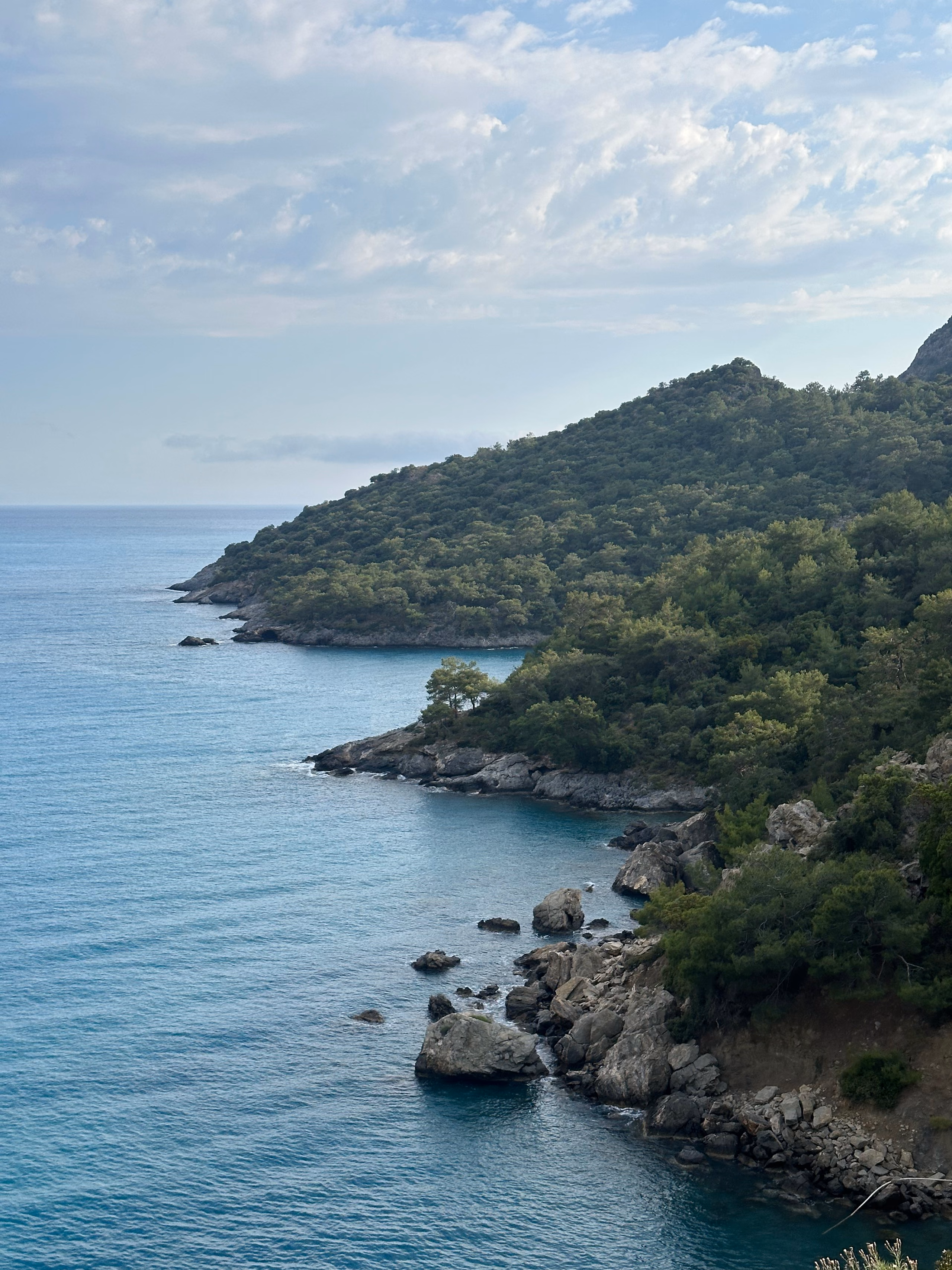 Pine cliffs dropping into open Mediterranean water west of Kayaköy, with no building in sight.